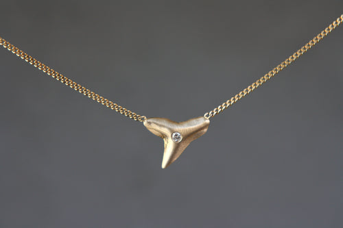 Shark Tooth Pendant Necklace